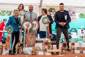 47. Klubová výstava Klubu francouzských buldočků za podpory Biovety