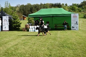 Bioveta podpořila Klub beauceronů ČR