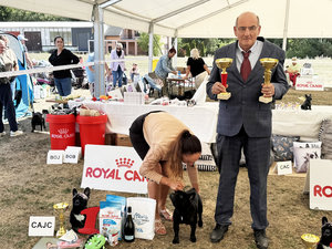 Bioveta podpořila klubovou výstavu bulldogů, buldočků a mopsů