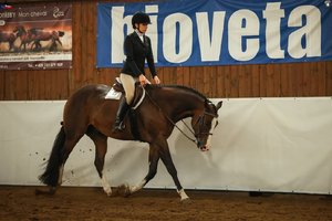 Bioveta podpořila Mistrovství ČR dospělých ve westernovém jezdectví 2025