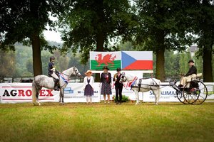 Bioveta podpořila XXVIII. Národní výstavu Welsh pony a cob v Plasích