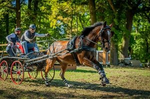 Bioveta sponzorem vozatajského týmu Soukup Team!