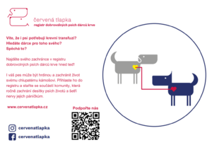 Červená tlapka – registr dobrovolných psích dárců krve