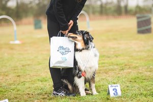 Dream Cup 2025 za podpory Biovety!