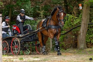 Mistrovství České republiky v Semicích: Soukup Team slaví!