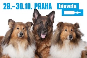 Výstava psů Prague Expo Dog Double CACIB