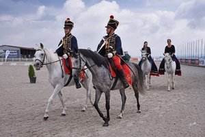 XXX. Národní přehlídka koní plemene Shagya araba v České republice 